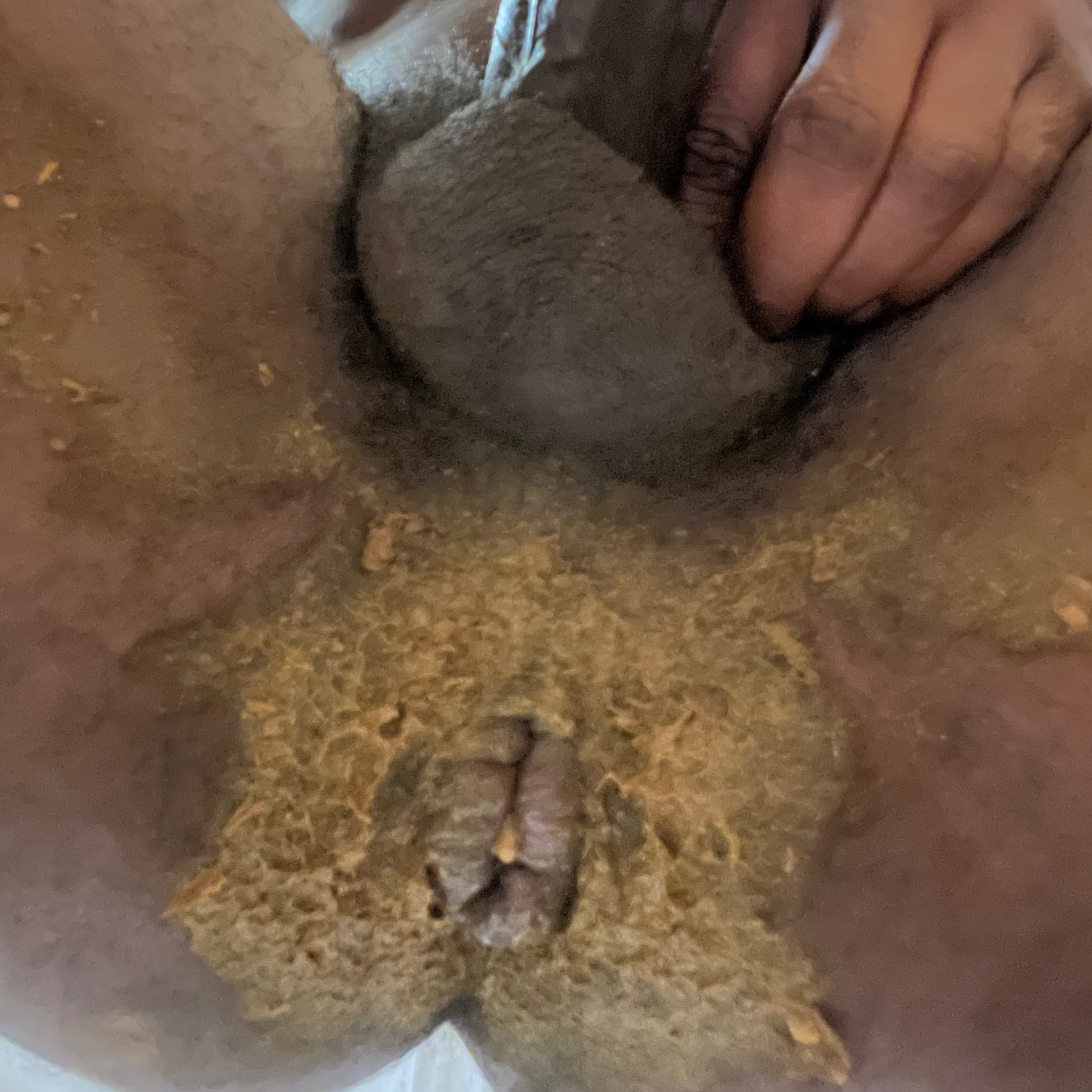 secretKink_bttm's image